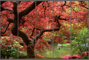 Фотопечать на фасадах